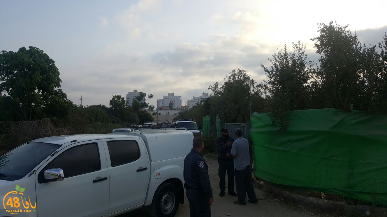 WhatsApp Image 2017-08-09 at 07.07.32.jpeg